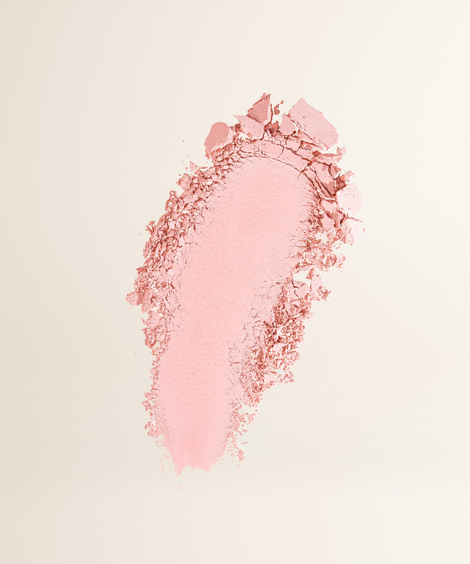 FOUNDATION BRUSH